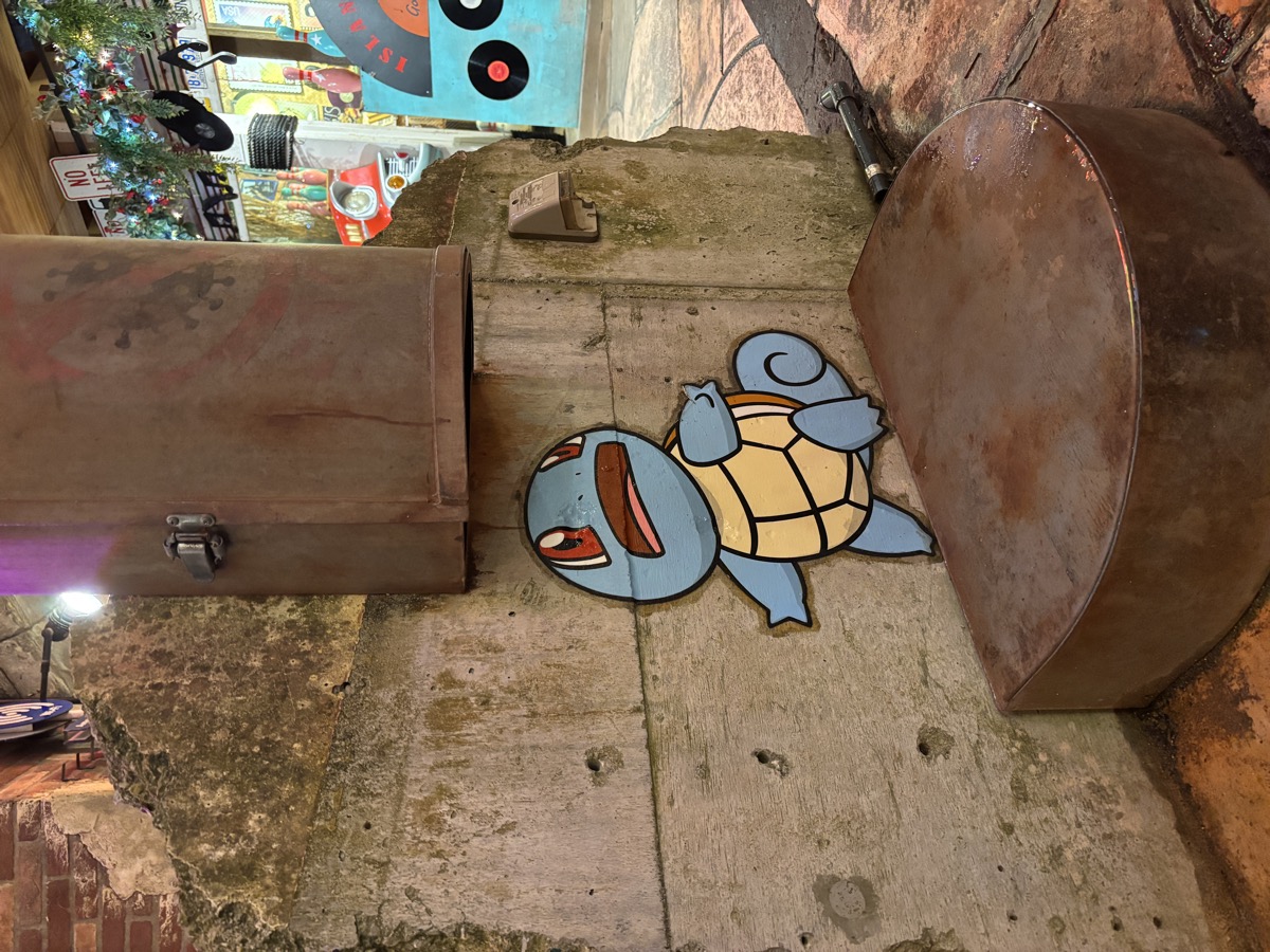ゼニガメ